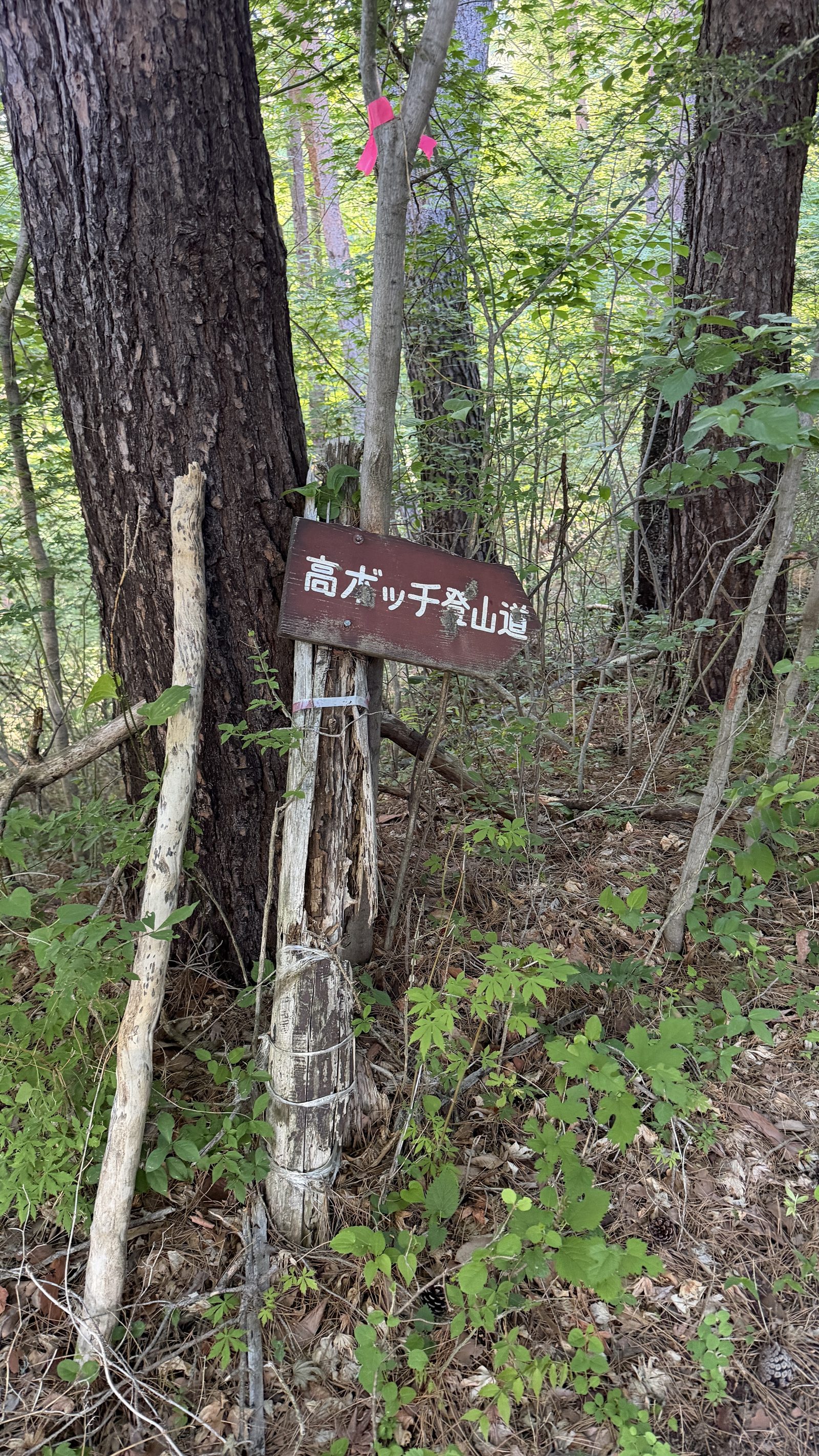 管理棟前の登山口