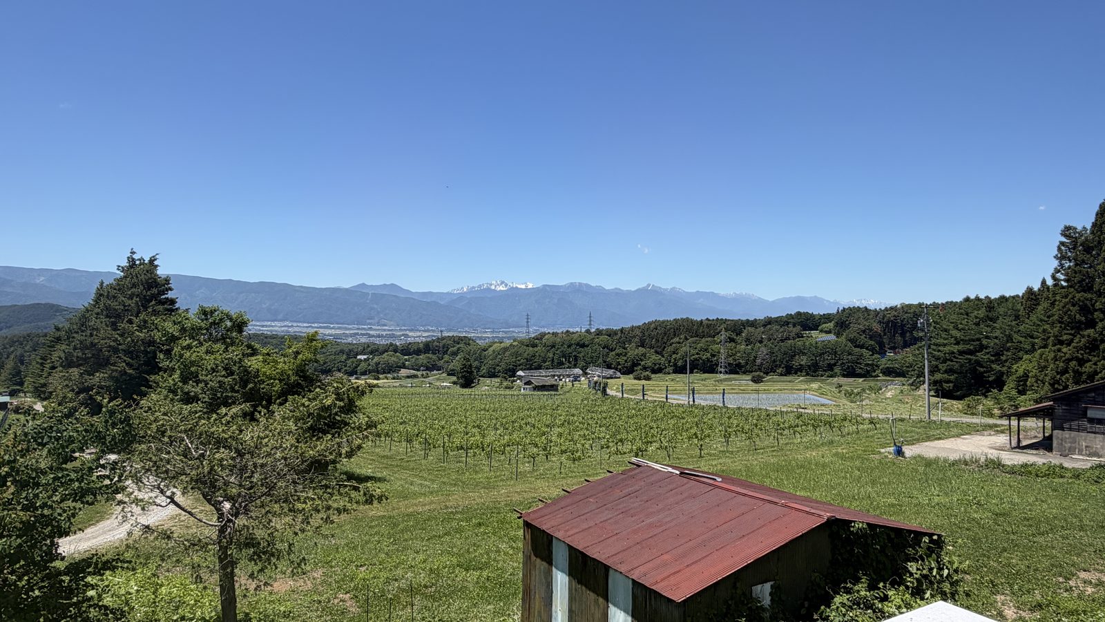 閉ざされた牧場